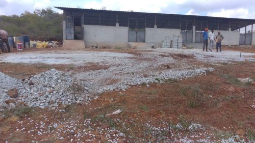 Cattle-Shed-@-Siddapura